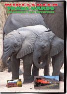 Trans Karoo African Rail Adventure